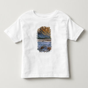Canada, British Columbia, Alsek River Valley. Toddler T-Shirt