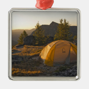 Canada, British Columbia, Cathedral Provincial Metal Tree Decoration