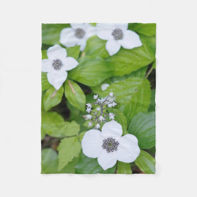 Canada, British Columbia. Dwarf Dogwood Fleece Blanket (Front)
