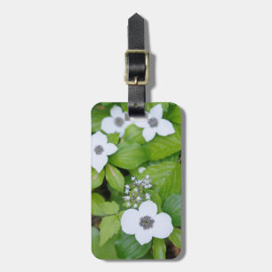 Canada, British Columbia. Dwarf Dogwood Luggage Tag