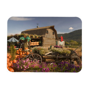 CANADA, British Columbia, Enderby. Log Barn Magnet