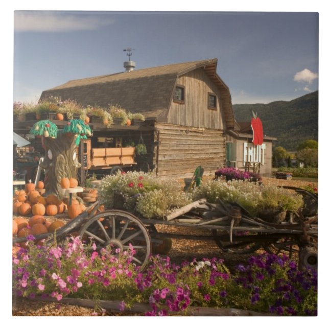 CANADA, British Columbia, Enderby. Log Barn Tile (Front)