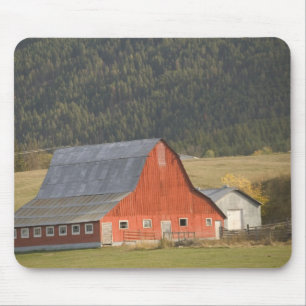 CANADA, British Columbia, Enderby. Red Barn / Mouse Mat