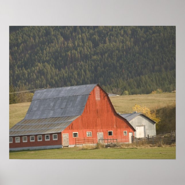 CANADA, British Columbia, Enderby. Red Barn / Poster (Front)