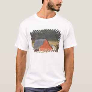 CANADA, British Columbia, Enderby. Red Barn / T-Shirt