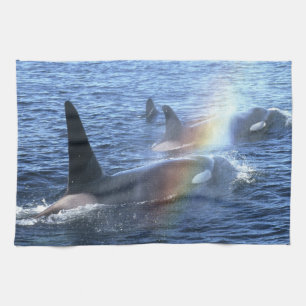 Canada, British Columbia, Johnstone Straight, Tea Towel