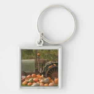 CANADA, British Columbia, Keremeos. Autumn / 2 Key Ring