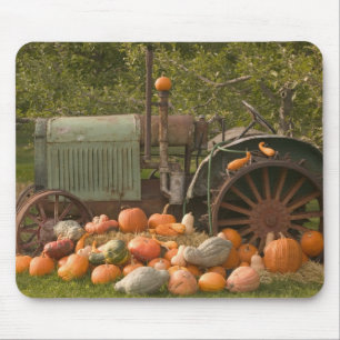 CANADA, British Columbia, Keremeos. Autumn / 2 Mouse Mat