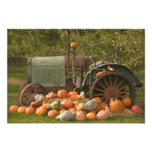 CANADA, British Columbia, Keremeos. Autumn / 2 Photo Print