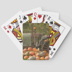 CANADA, British Columbia, Keremeos. Autumn / 2 Playing Cards