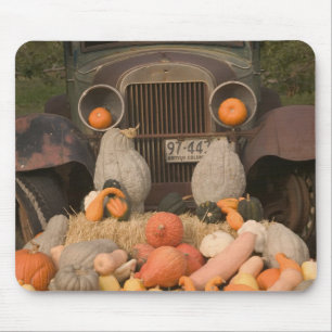 CANADA, British Columbia, Keremeos. Autumn / Mouse Mat