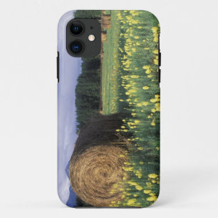 Canada, British Columbia, Kitwanga. Yellow iPhone 11 Case
