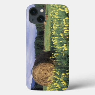 Canada, British Columbia, Kitwanga. Yellow iPhone 13 Case