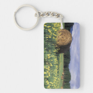Canada, British Columbia, Kitwanga. Yellow Key Ring