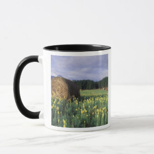 Canada, British Columbia, Kitwanga. Yellow Mug