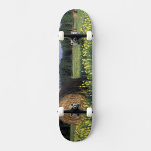Canada, British Columbia, Kitwanga. Yellow Skateboard