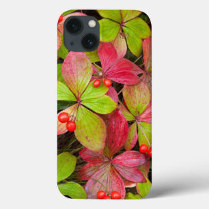 Canada, British Columbia, Mount Robson iPhone 13 Case