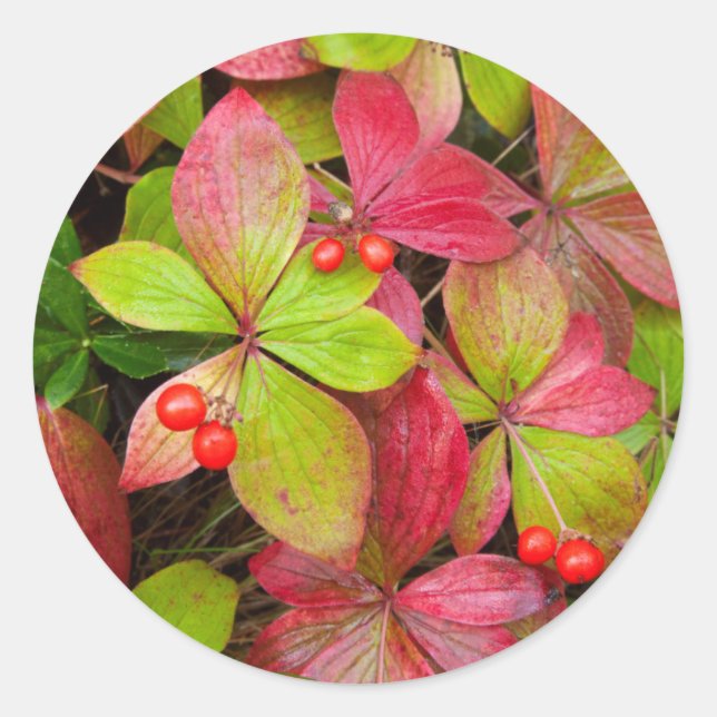 Canada, British Columbia, Mount Robson Classic Round Sticker (Front)