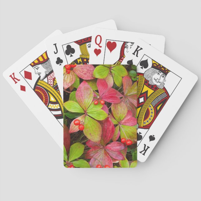 Canada, British Columbia, Mount Robson Playing Cards (Back)