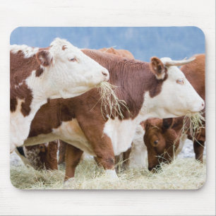 Canada, British Columbia, Pemberton Mouse Mat