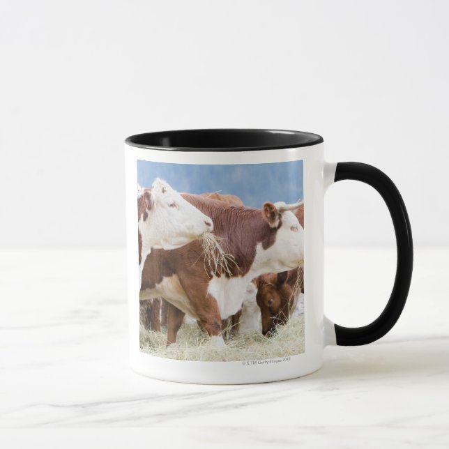 Canada, British Columbia, Pemberton Mug (Right)