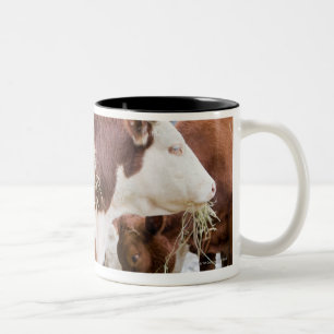 Canada, British Columbia, Pemberton Two-Tone Coffee Mug
