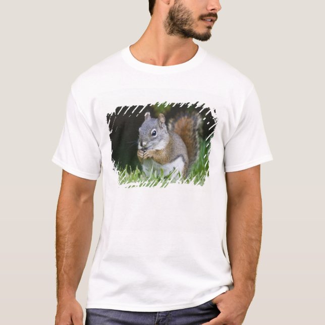Canada, British Columbia, Red Squirrel Pine T-Shirt (Front)