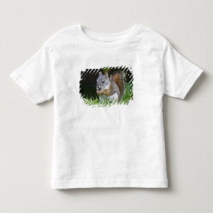 Canada, British Columbia, Red Squirrel Pine Toddler T-Shirt