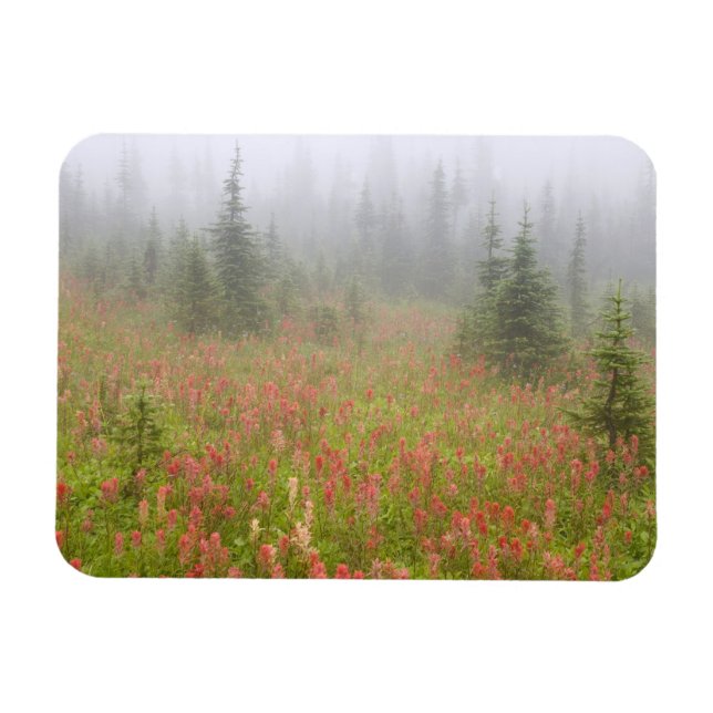 Canada, British Columbia, Revelstoke National Magnet (Horizontal)