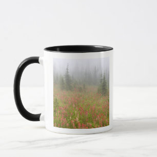 Canada, British Columbia, Revelstoke National Mug