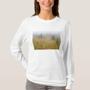 Canada, British Columbia, Revelstoke National T-Shirt