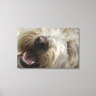 Canada, British Columbia, Vancouver Canvas Print