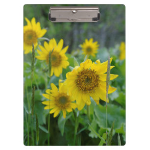 Canada, British Columbia, Vancouver Island 5 Clipboard