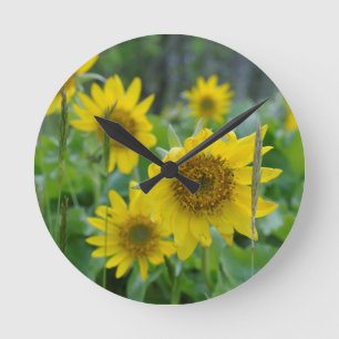 Canada, British Columbia, Vancouver Island 5 Round Clock