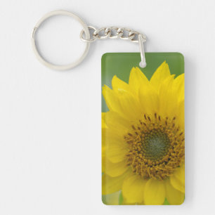 Canada, British Columbia, Vancouver Island 7 Key Ring