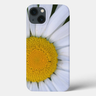 Canada, British Columbia, Vancouver Island 8 iPhone 13 Case