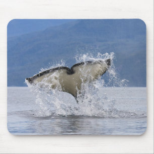 Canada, British Columbia, Vancouver Island, Mouse Mat