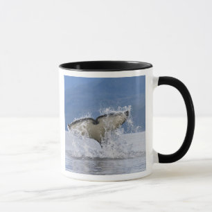 Canada, British Columbia, Vancouver Island, Mug