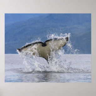 Canada, British Columbia, Vancouver Island, Poster