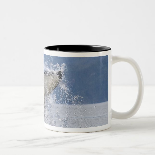 Canada, British Columbia, Vancouver Island, Two-Tone Coffee Mug (Right)