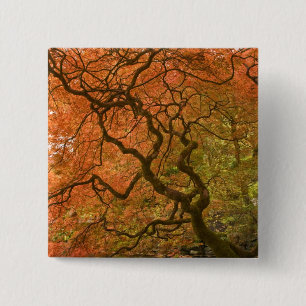 CANADA, British Columbia, Victoria. Autumn 2 15 Cm Square Badge