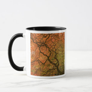 CANADA, British Columbia, Victoria. Autumn 2 Mug