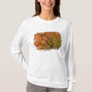 CANADA, British Columbia, Victoria. Autumn 2 T-Shirt
