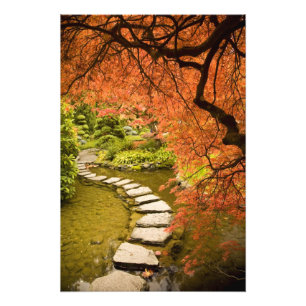 CANADA, British Columbia, Victoria. Autumn Photo Print