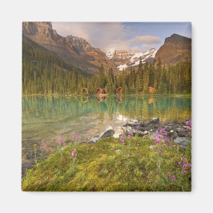 Canada, British Columbia, Yoho National Park. 2 Magnet