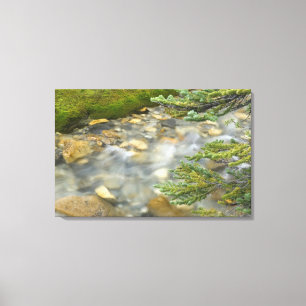 Canada, British Columbia, Yoho National Park. 4 Canvas Print