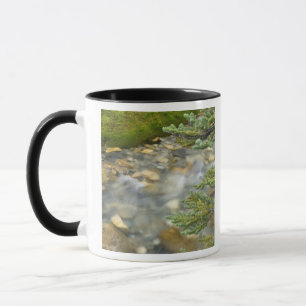 Canada, British Columbia, Yoho National Park. 4 Mug