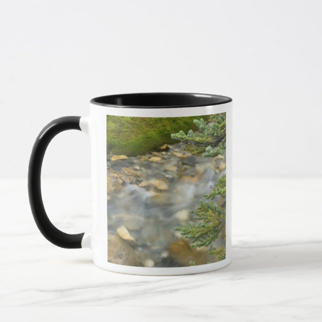 Canada, British Columbia, Yoho National Park. 4 Mug (Left)