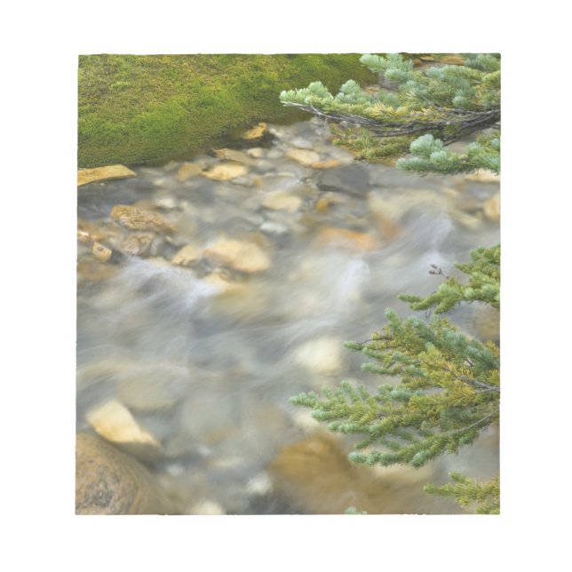 Canada, British Columbia, Yoho National Park. 4 Notepad (Front)