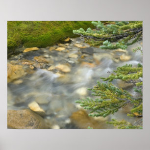 Canada, British Columbia, Yoho National Park. 4 Poster